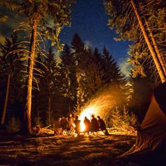 A campfire in the woods